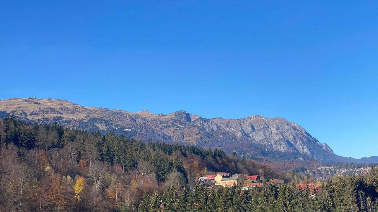 Perfect View Apartment Синая Екстериор снимка